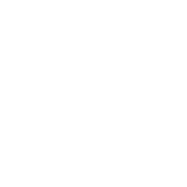 BraveAim